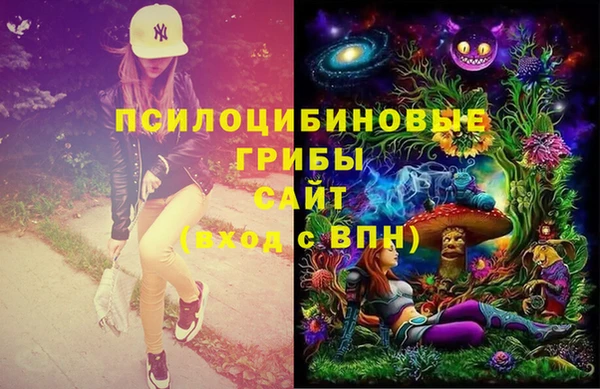 соль ск Бронницы