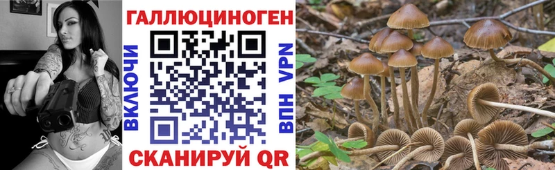 Галлюциногенные грибы Magic Shrooms  МЕГА вход  Кущёвская 